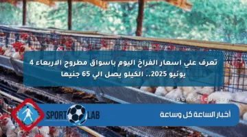 تعرف على أسعار الفراخ اليوم بأسواق مطروح الأربعاء 4 يونيو 2025.. الكيلو يصل إلى 65 جنيها